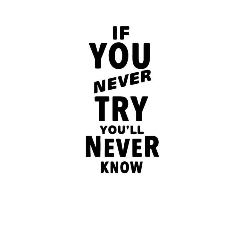 If You Never Try You'll Never Know Inspiration Wall Quotes