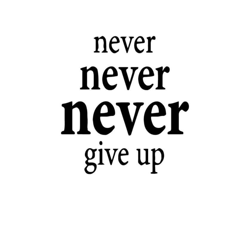 Never Never Never Give Up Inspirational Wall Quotes